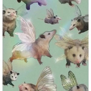 Meet your Posher, Elisabeth